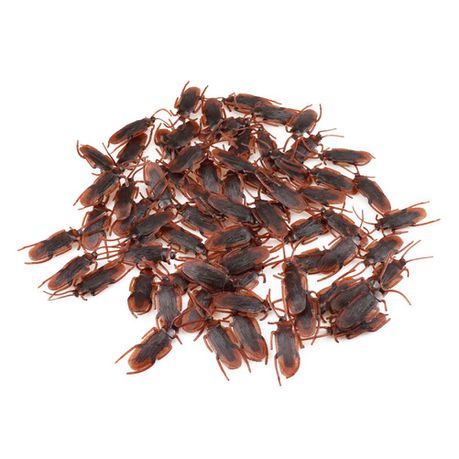 CABS - Cockroach Halloween Prop (50 per pack) – Man Cave