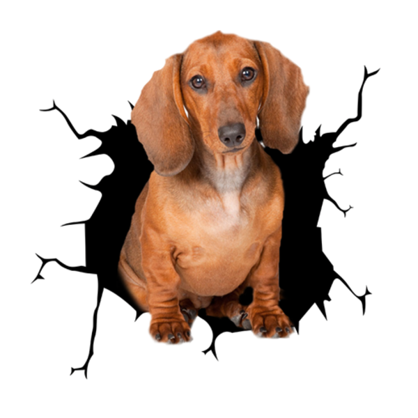 Dachshund 3D Car Sticker Decal - Brown